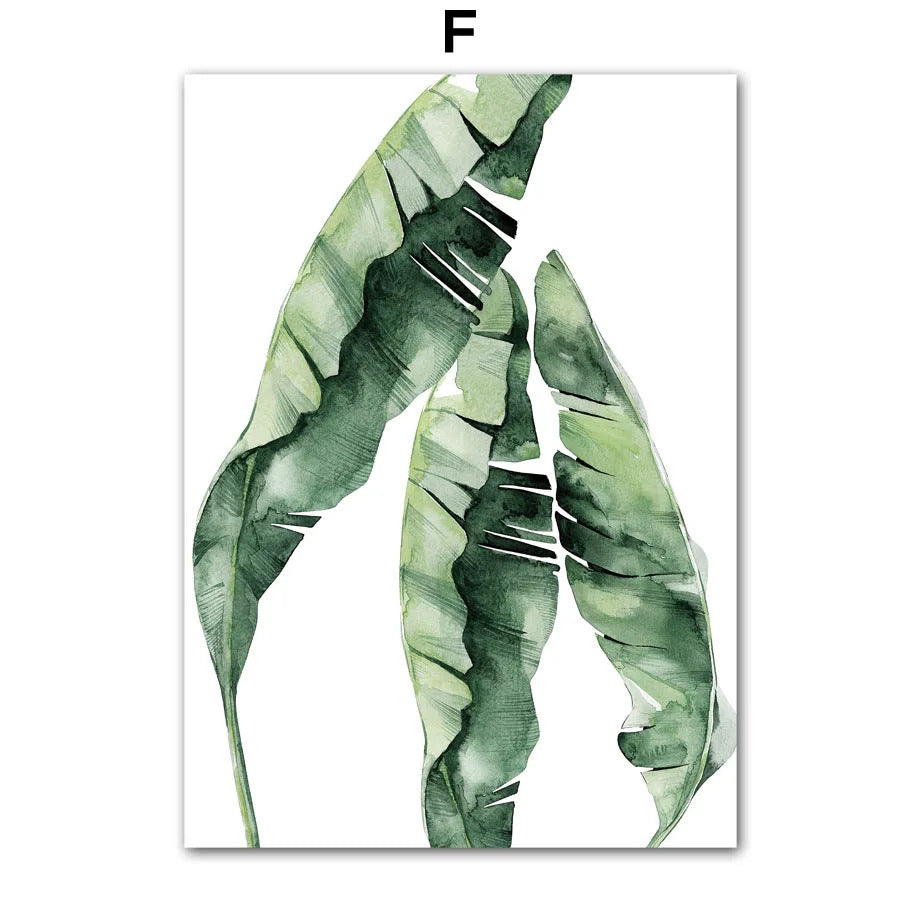 Green Watercolor Plant Leaf Monstera Poster Decorative Art Print
